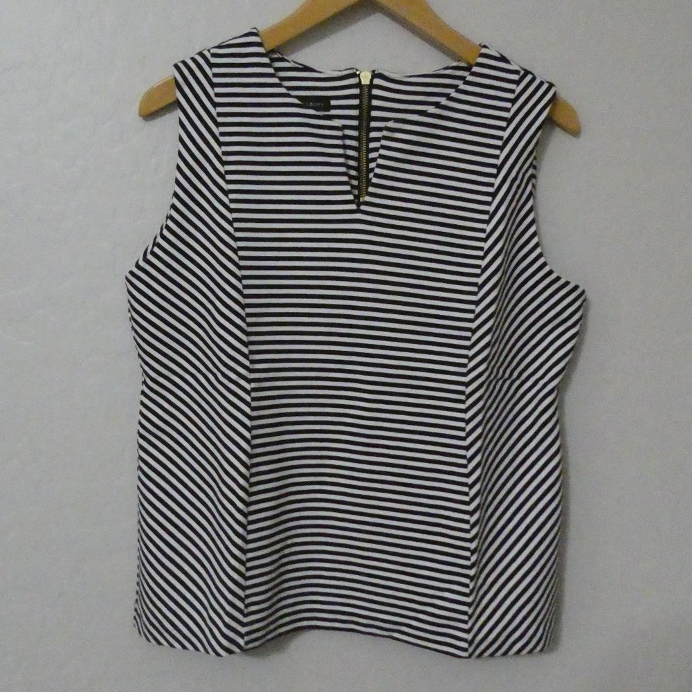 Sleeveless Fitted Top EUC